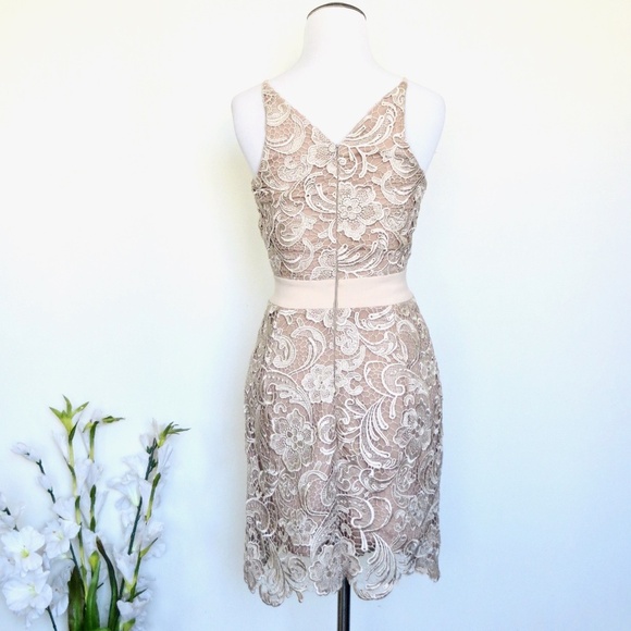 NEW! Dress the Population Ava Dress Champagne Nude Floral Lace V-Neck SZ XS - Picture 4 of 11